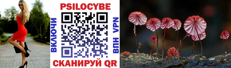 мега вход  где купить наркоту  Иланский  Псилоцибиновые грибы GOLDEN TEACHER 